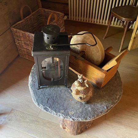 Chalet Alpage Proche Geneve Mégevette Dış mekan fotoğraf