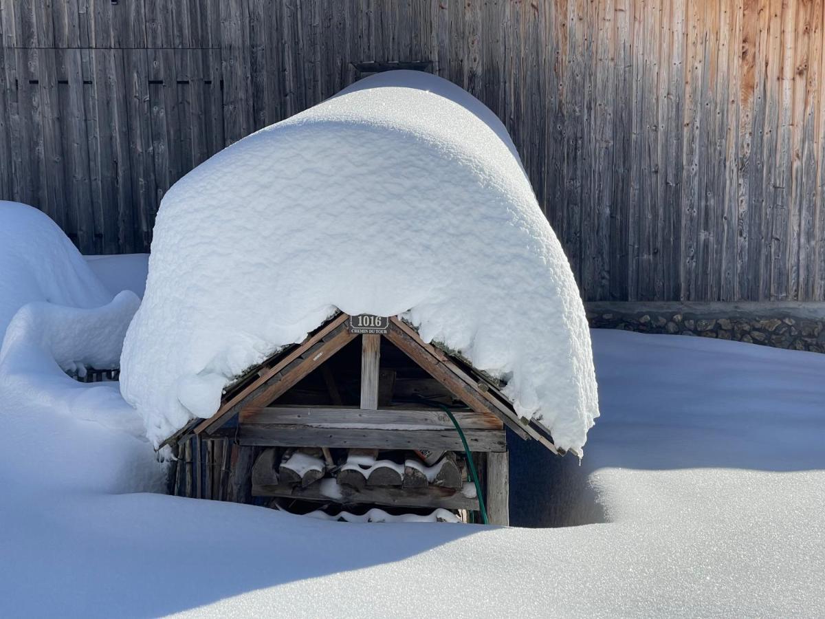 Chalet Alpage Proche Geneve Mégevette Dış mekan fotoğraf