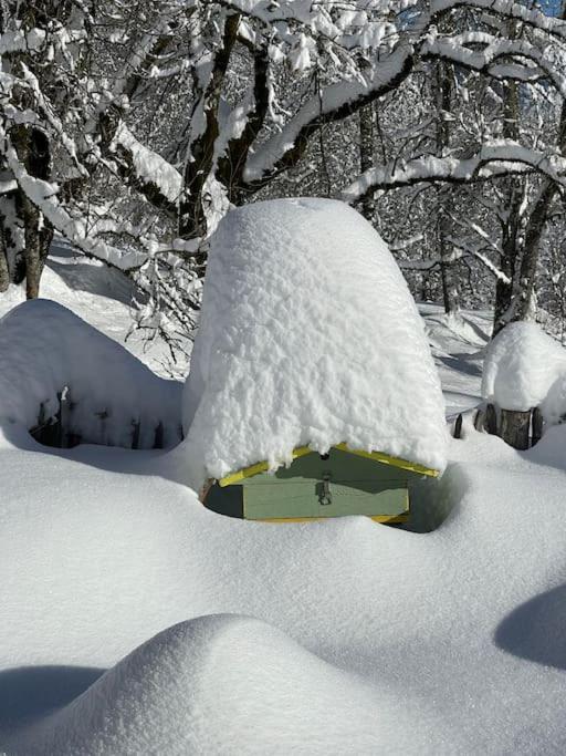 Chalet Alpage Proche Geneve Mégevette Dış mekan fotoğraf