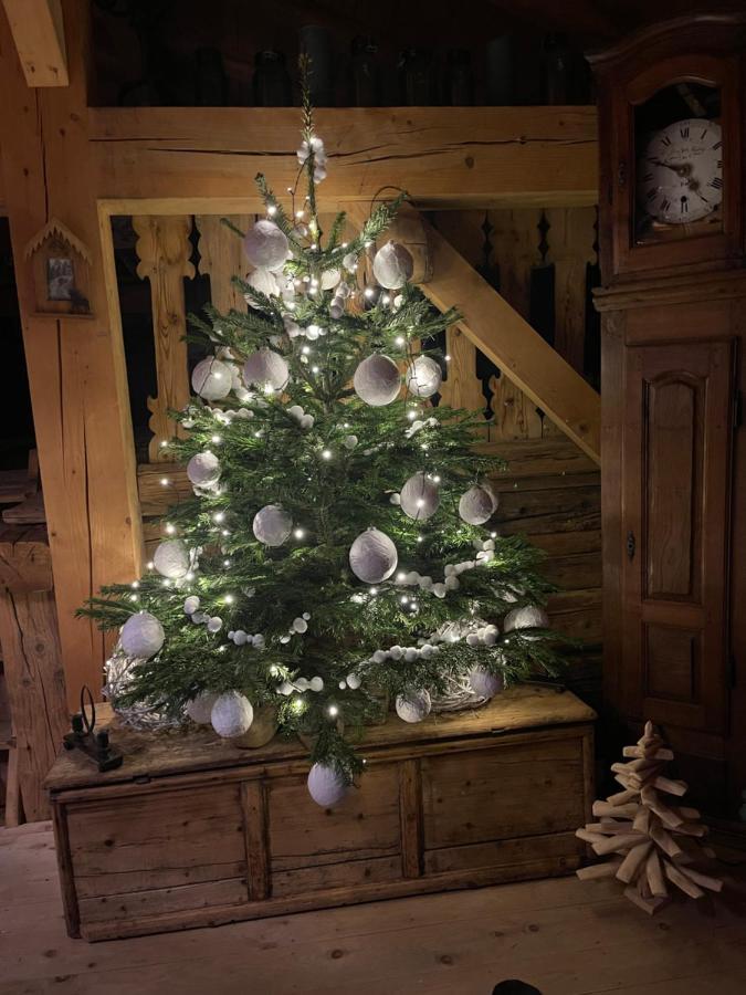 Chalet Alpage Proche Geneve Mégevette Dış mekan fotoğraf
