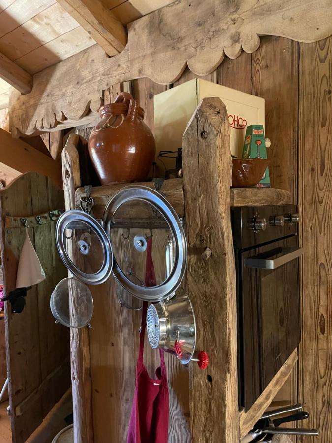 Chalet Alpage Proche Geneve Mégevette Dış mekan fotoğraf